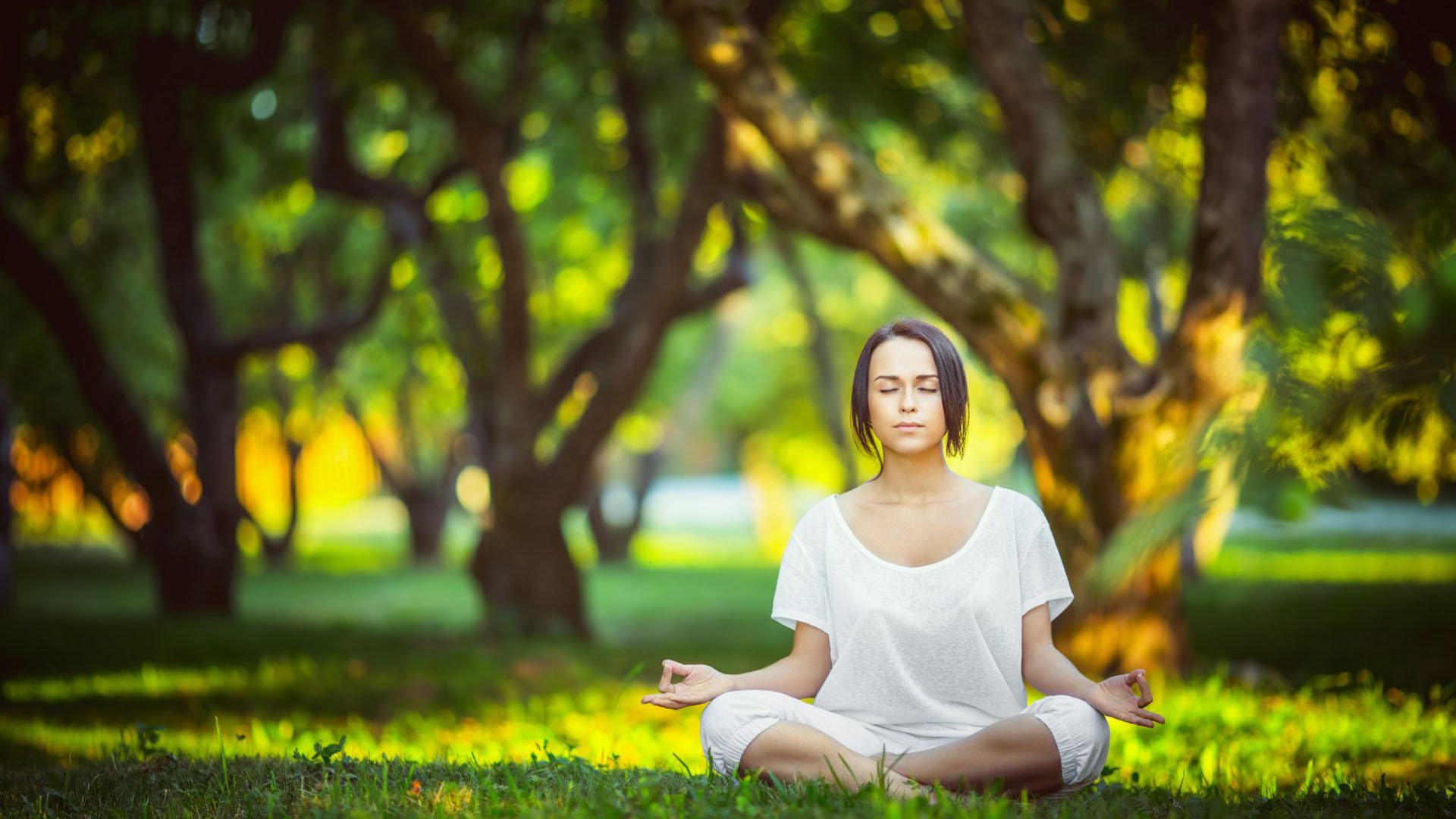 更衣室发声、战术微调与清晨止颓,全球体育的窗口期三重奏